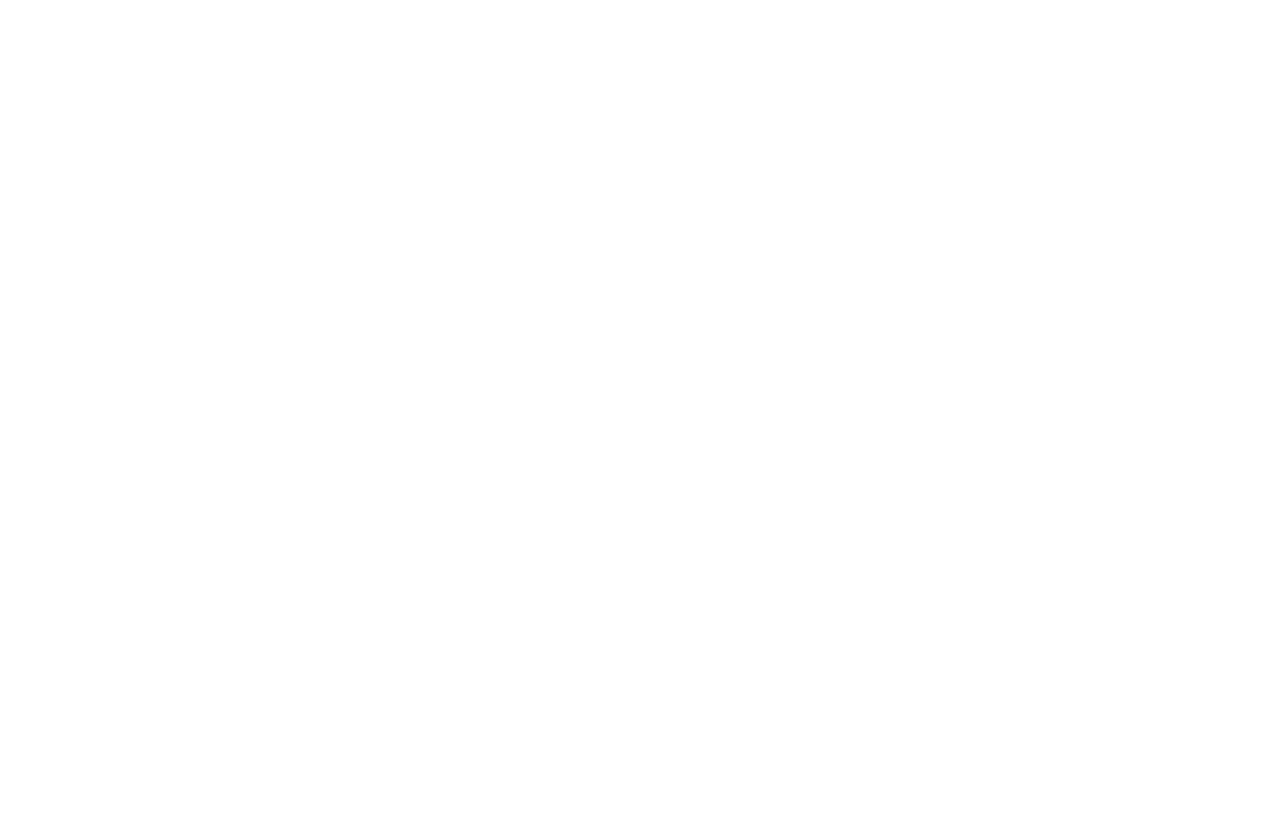 飛びのオールラウンダー Iron AKA, 飛びのスペシャリスト IRON AKA FF