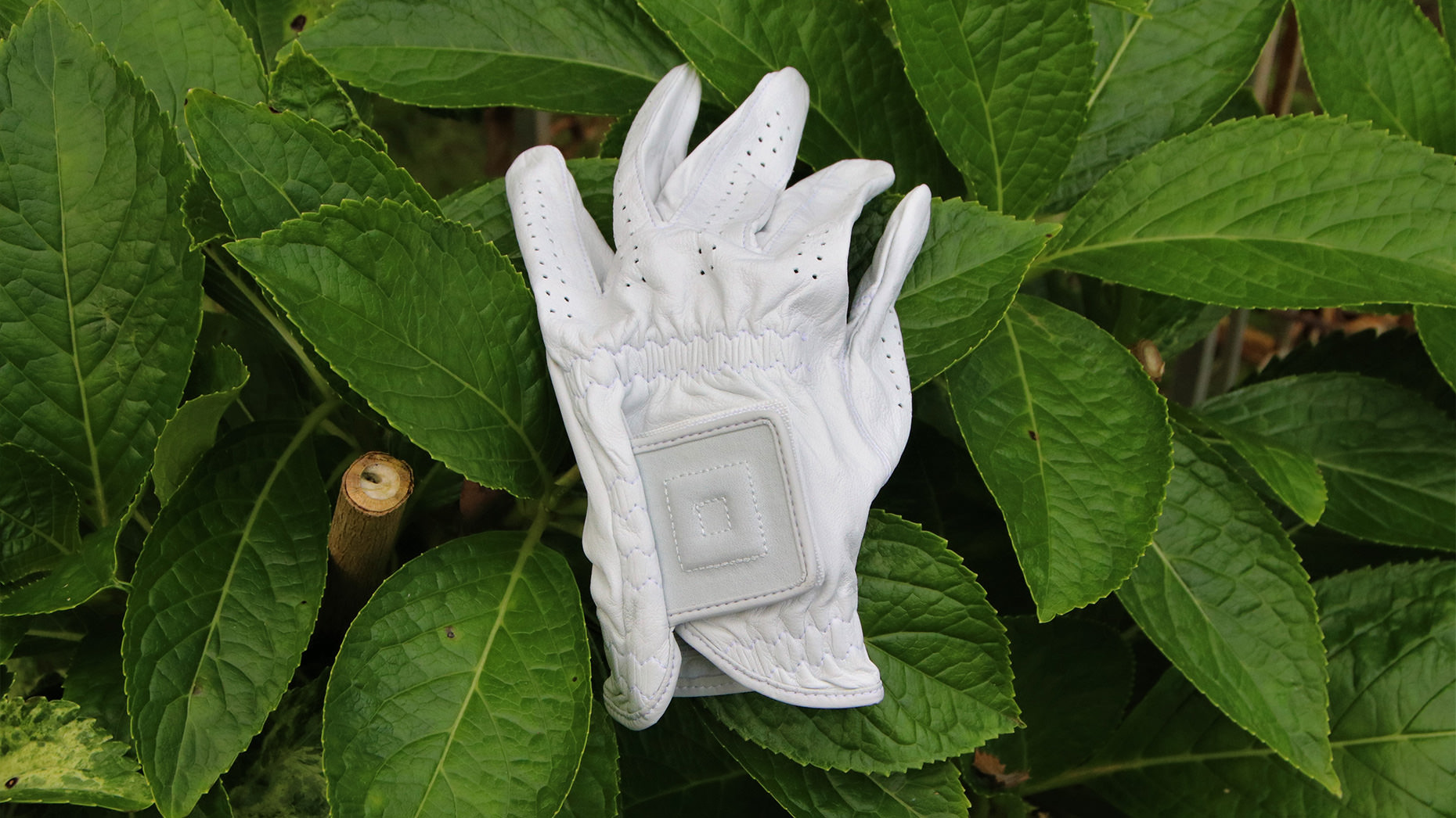 Glove